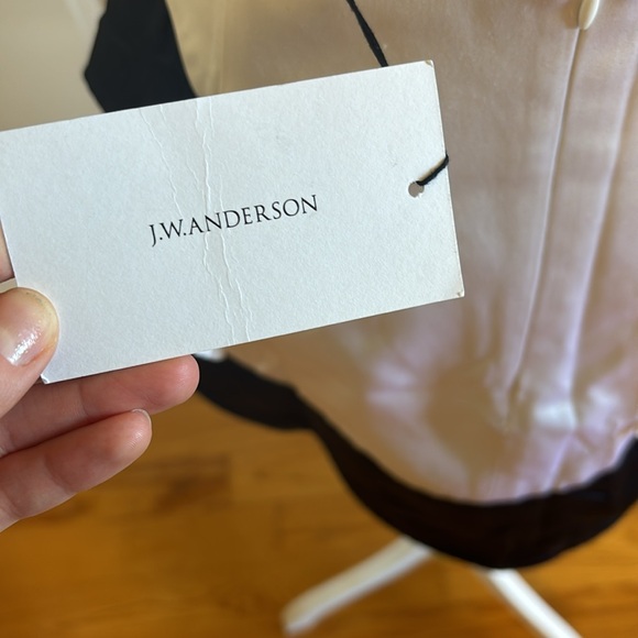 BNWT Stunning Silk J.W. Anderson Mini Skirt - Picture 9 of 11